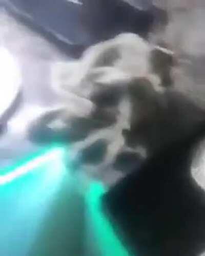 What 😳 does he say doe 😳