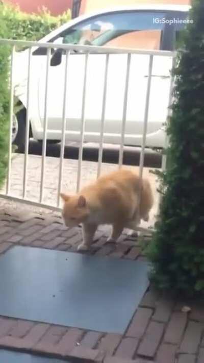 Hahaha que fea manera de darte cuenta que estás gordo 😂