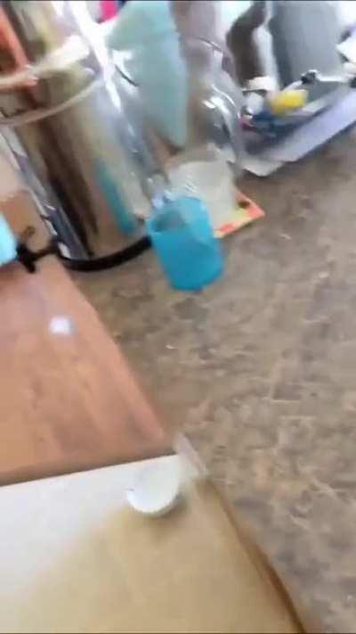 Standard self-startle