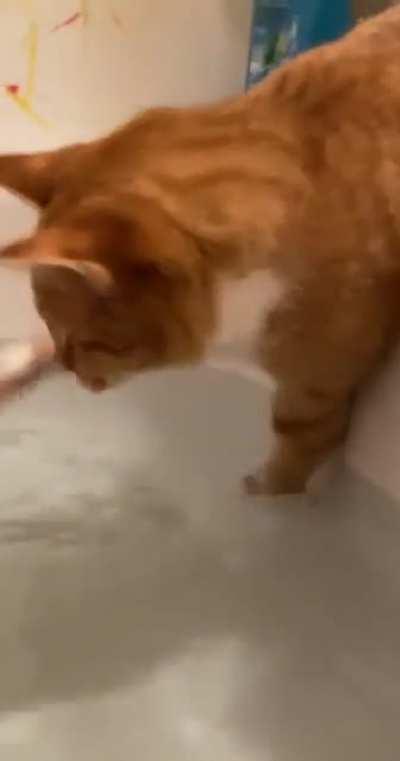 Touch Tha Water