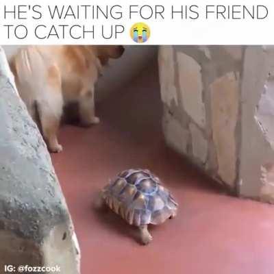 Waiting for his friend to catch up