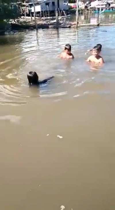 So beautiful to see kids playing, away from tablets and phones!