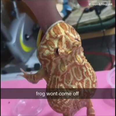 Just let him have it