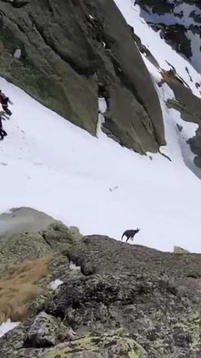 🔥 The GOAT itself