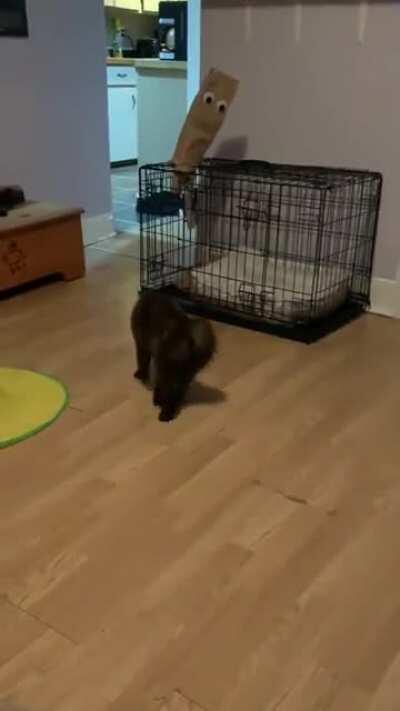 What a strange being...