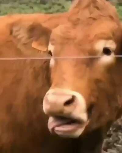 A connection has been made