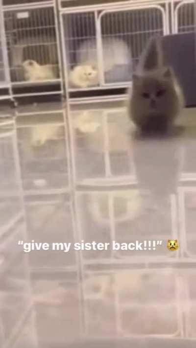 Running fast to save her!