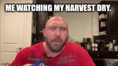 The joy of watching massive buds shrink away.