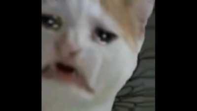 mama I'm a criminal 😭😭😭