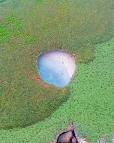 Nature is f*#% ing Lit!!!