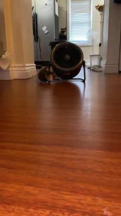 I can’t not smile at the part where she starts “running”.