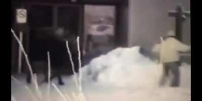 She didn't like the way he was looking at her baby moose