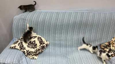 With original audio as requested