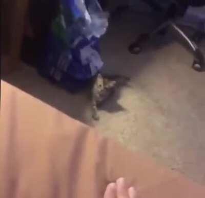 Иди сюда, кожаный ублюдок