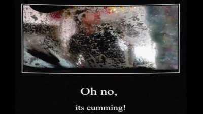its cumming