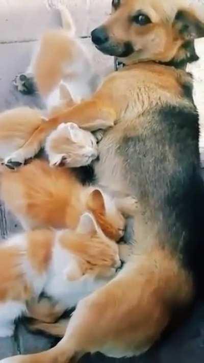 Moms are moms no matter what