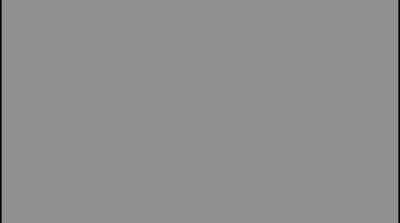 New Smash fighter leaked