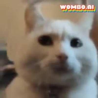 Turns out it'll work with cats