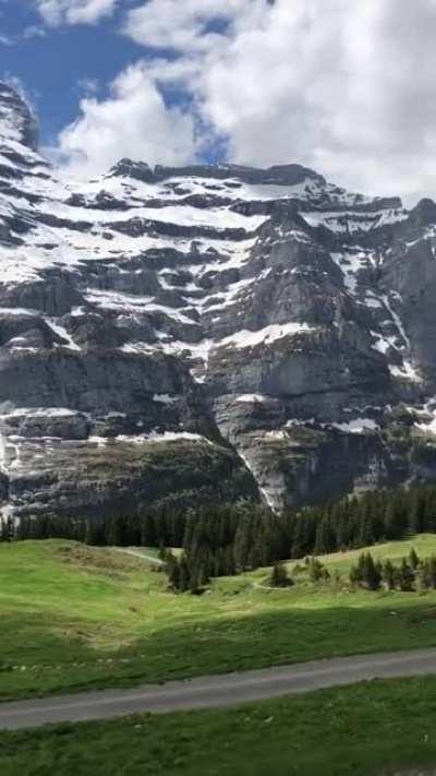 We live in a beautiful world.