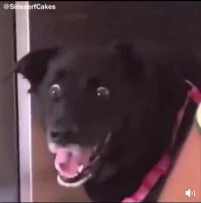 *chuckles* i am in danger