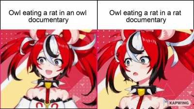 would still watch, regardless