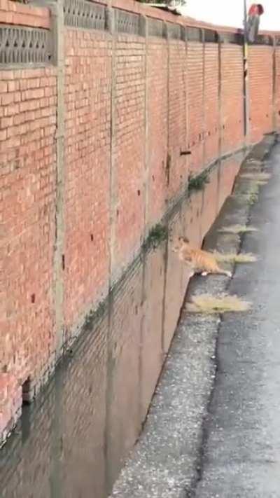 nothing can stop me I am all the way in.