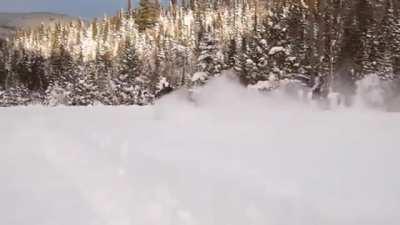 🔥 Moose running through snow 🔥
