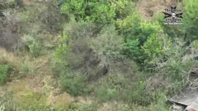 3 Ukrainian soldiers are moving through a forested area near Udachne, one gets hit by FPV drone operator from the Alexandria Brigade