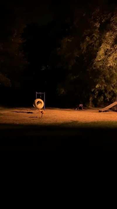 the sound was happening almost every second until i started recording, some sounded more like a woman scream but i thought id check in with skinwalker reddit for possible explanations