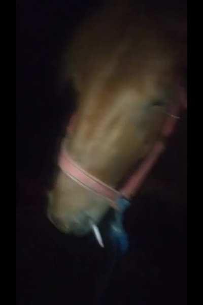 “Our Generation”