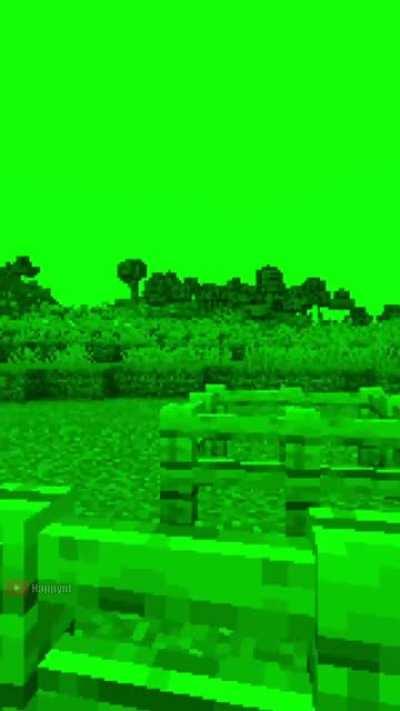 What Mobs in Minecraft Actually See