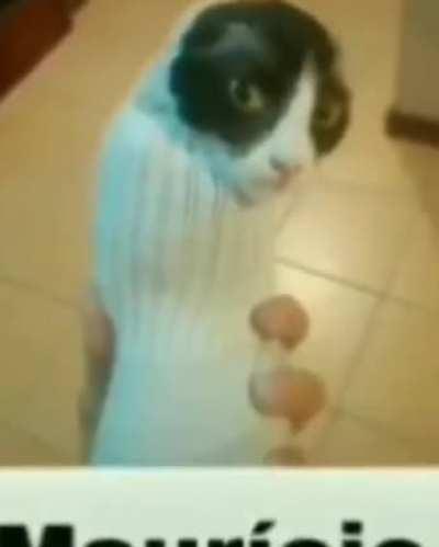 pescocofino - Video #9991