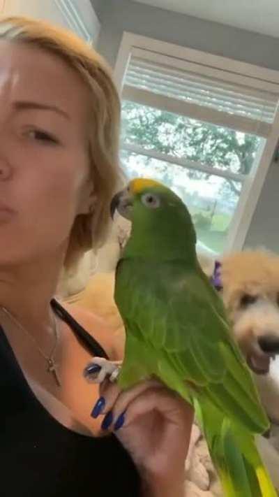 Oh God, not that annoying Toby again