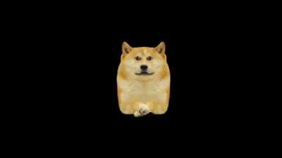 Front-Facing Doge attacks you. (WARNING: Loud Jumpscare)