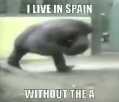 I live in Spain without the S