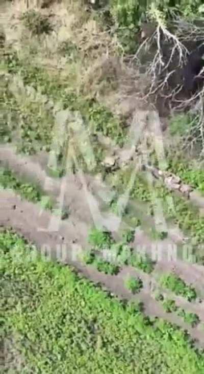 Another uki war crime. Trying to kill a wounded soldier and medical units evacuating the soldier. 