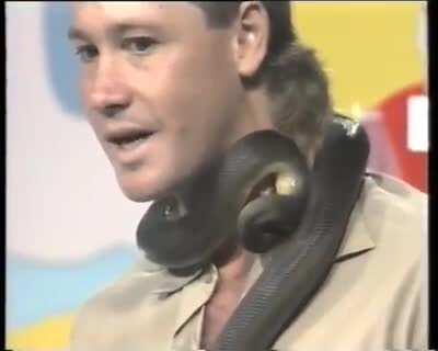 WCGW put a snake around your neck