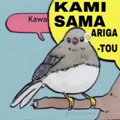 The instance I saw this I thought sharing is an obligation