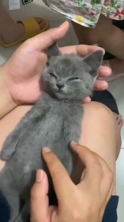 A great reason to wake up