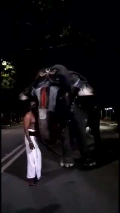 Cute conversation between Srirangam Temple elephant Andal and her mahout