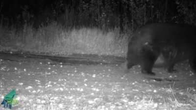 Когда часто ходишь к холодильнику по ночам