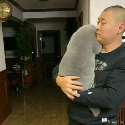 That's the smoothest cat I've ever seen