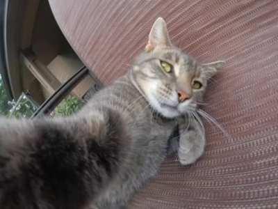 Just living life with friends