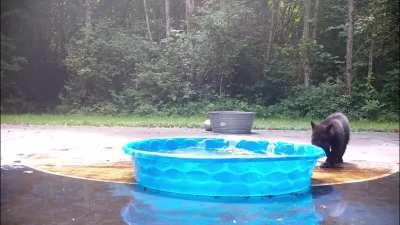 Enjoying the pool until mom says it’s time to go