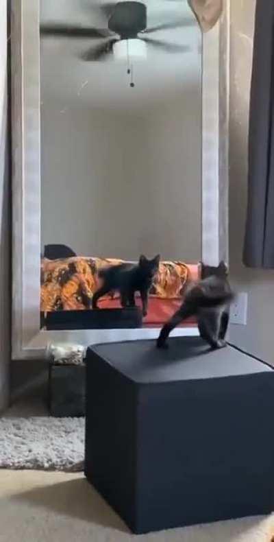 You´re a pretty kitty,... no, you are...