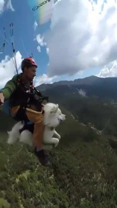 Man paraglides with dog as a mount up and above the forests.