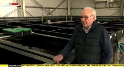 Run business with all EU customers - vote Brexit - now EU customers have moved to EU-based suppliers