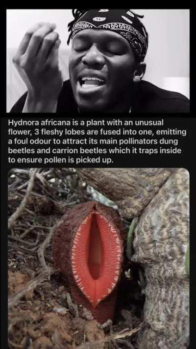 Guys you need to understand where I'm coming from...