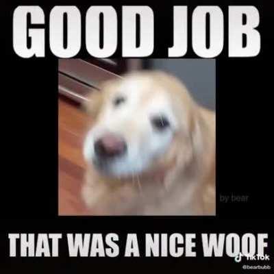 The perfect micro woof