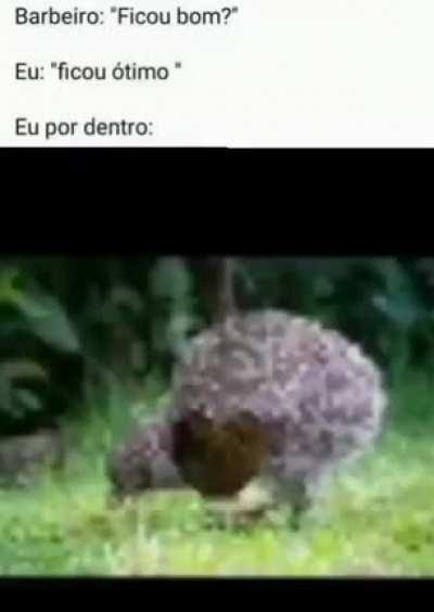 eu_nvr